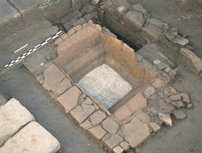 Cordero Ruiz, VgS 3 (2018) - Fig. 2