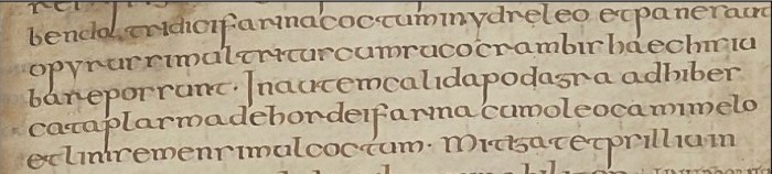 A. Castro, Formal Writing in Visigothic Hispania - Visigothic Symposia 4 (2020), 64-84 -Image 2 copy