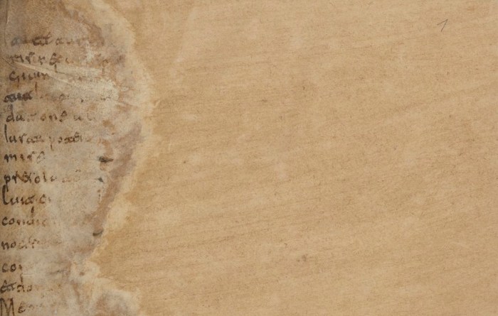 Fig. 5 - BNF_4667, f. 1r top copy