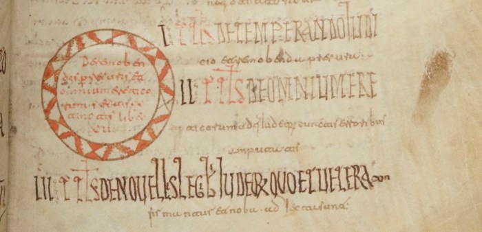 Fig. 7 - BNF_4667, f. 9r copy