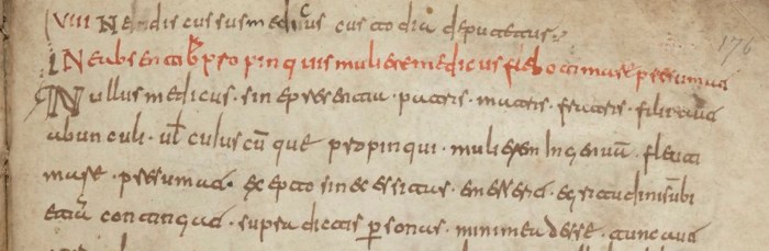 Fig. 8 - BNF_4667, f. 176r copy